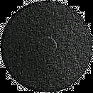 Rental store for polisher pad 13 inch black in Eastern Oregon